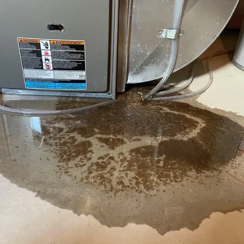 Appliance Leak Cleanup in Chevy Chase, MD